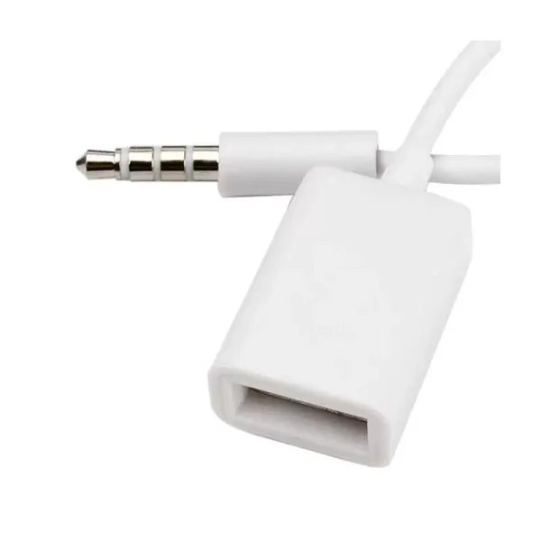 Cable Plug A Usb hembra